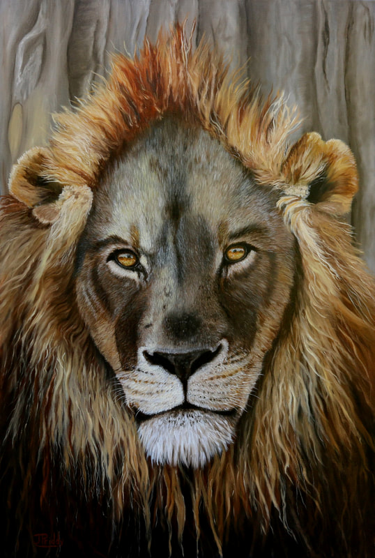 Africa Lion - Oil Painting by Jan Priddy, Wildlife Artist