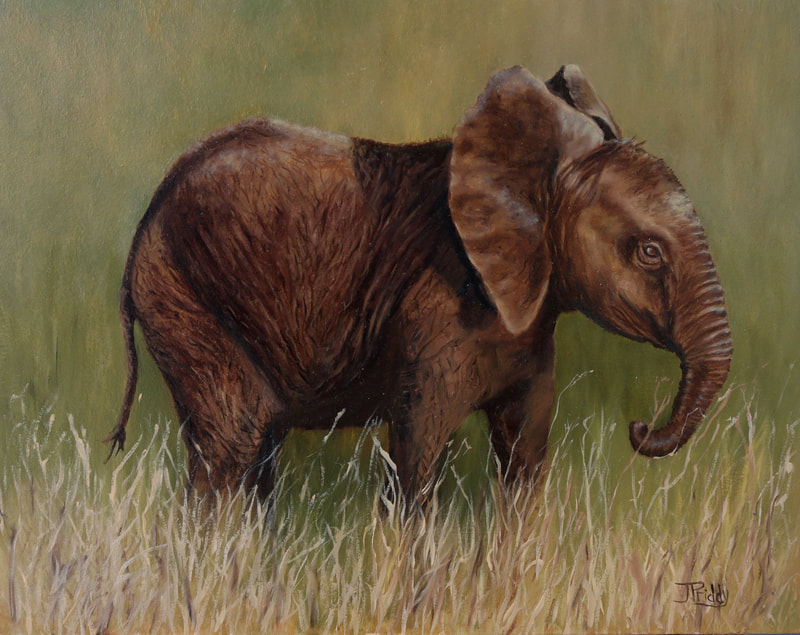 African Elephant Oil Painting by Jan Priddy, Wildlife Artist