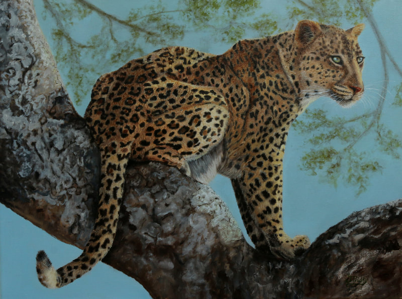 African Leopard - Oil Painting by Jan Priddy