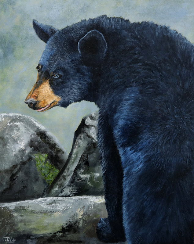 Black Bear Oil Painting by Jan Priddy