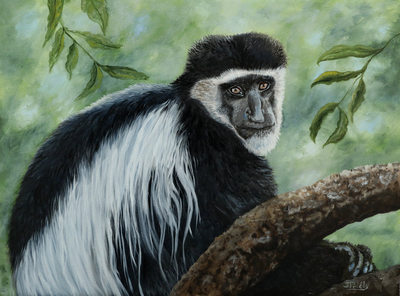 Oil Painting of Colobus Monkey