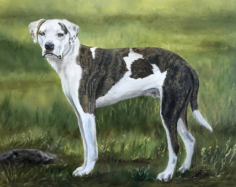 Pet Oil Paintings by Jan Priddy