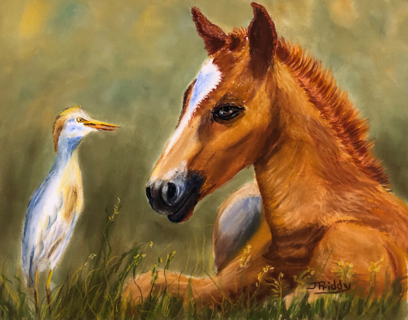 Wild Horse Adventure Tours - Jan Priddy Art, Pastel of Wild Horse Filly