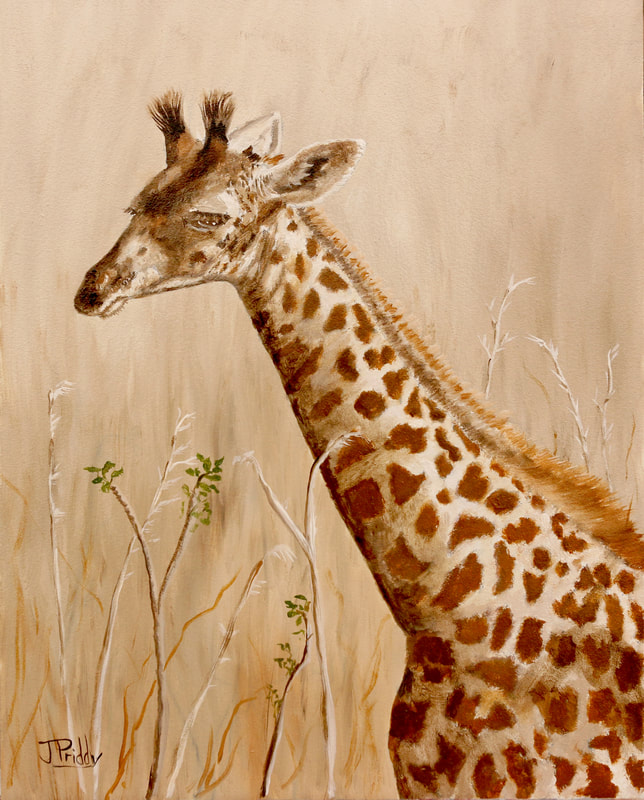 Jan Priddy Fine Art - African Giraffe