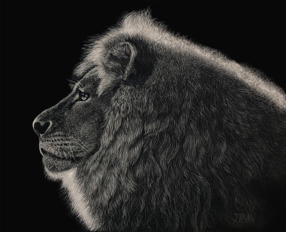 Jan Priddy Art - Scratchboard Lion