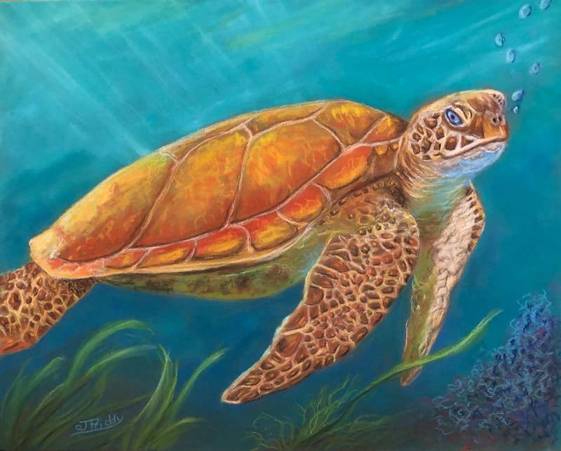 Wild Horse Adventure Tours, Sea Turtle Colored Pencil. 8x10. Art by Jan Priddy