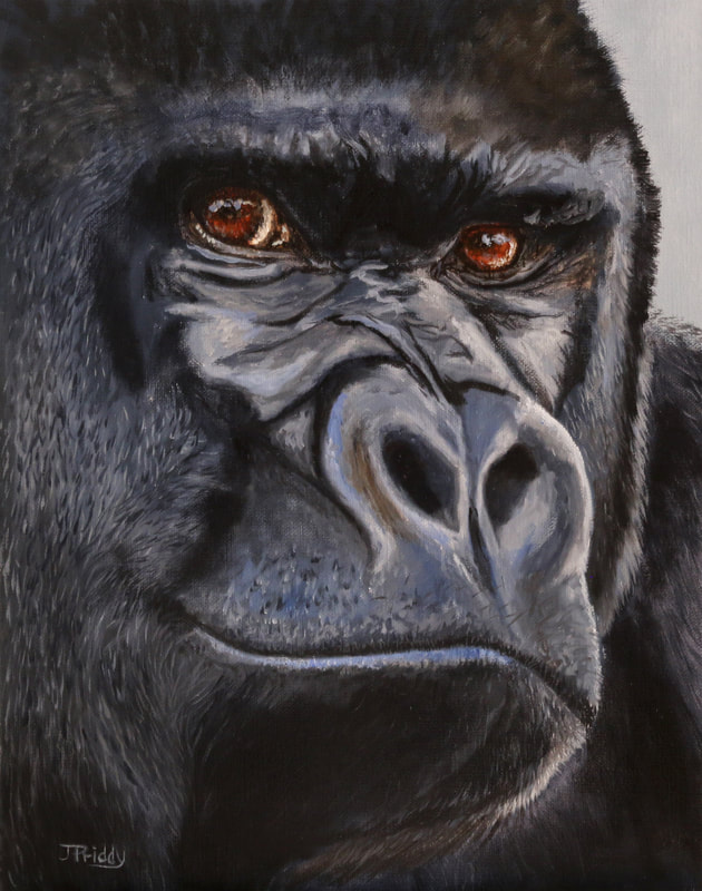 Oil Painting by Jan Priddy, Wildlife Artist