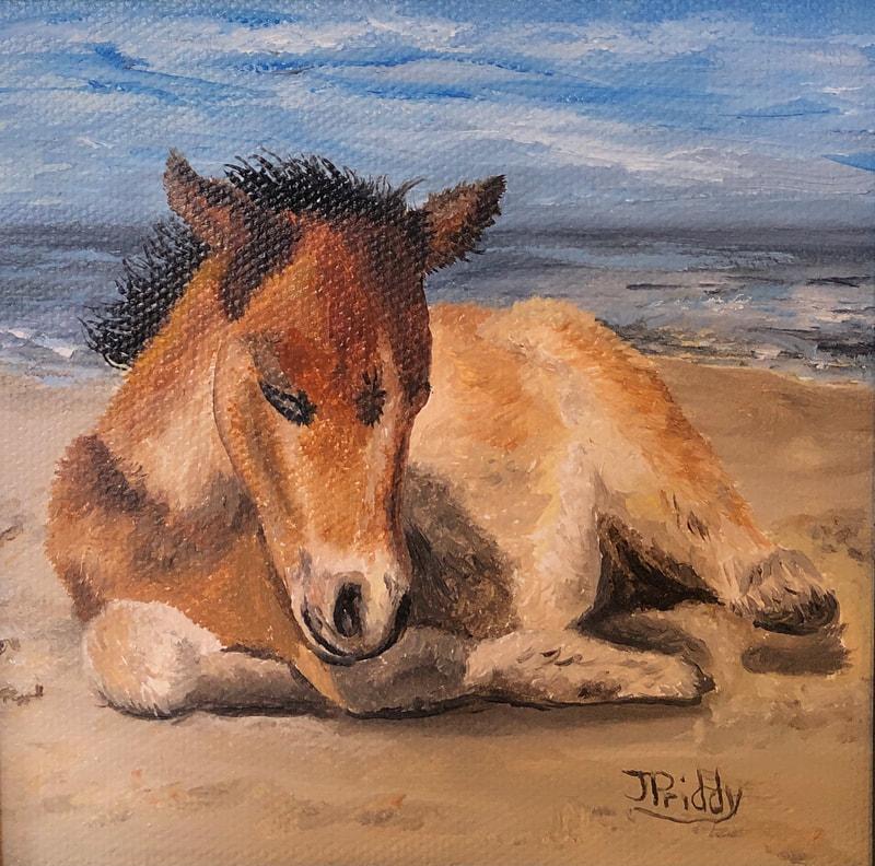 Wild Horse Adventure Tour - Artwork by Jan Priddy. 5x5 Oil painting of a new wild horse in Corolla NC