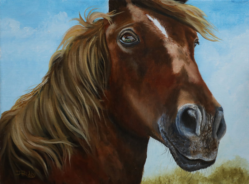 Wild Horse Adventure Tour - Oil Painting of Wild Horse by Jan Priddy