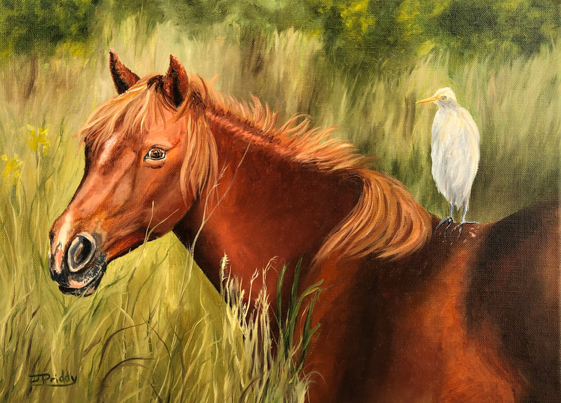 Wild Horse Adventure Tours, Corolla NC. Art by Jan Priddy. Wild Horse of Corolla