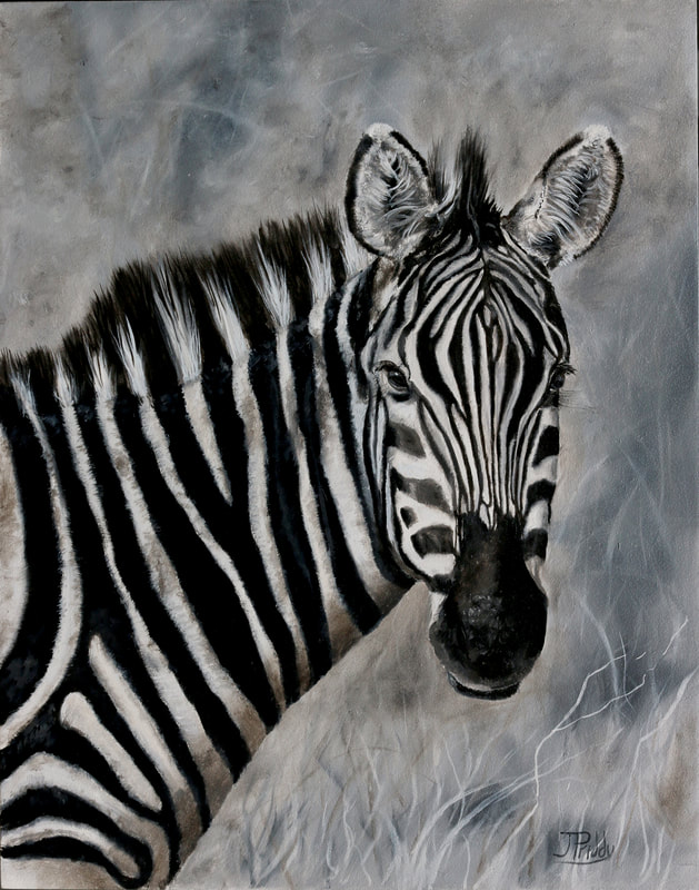 Zebra - Oil Painting by Jan Priddy